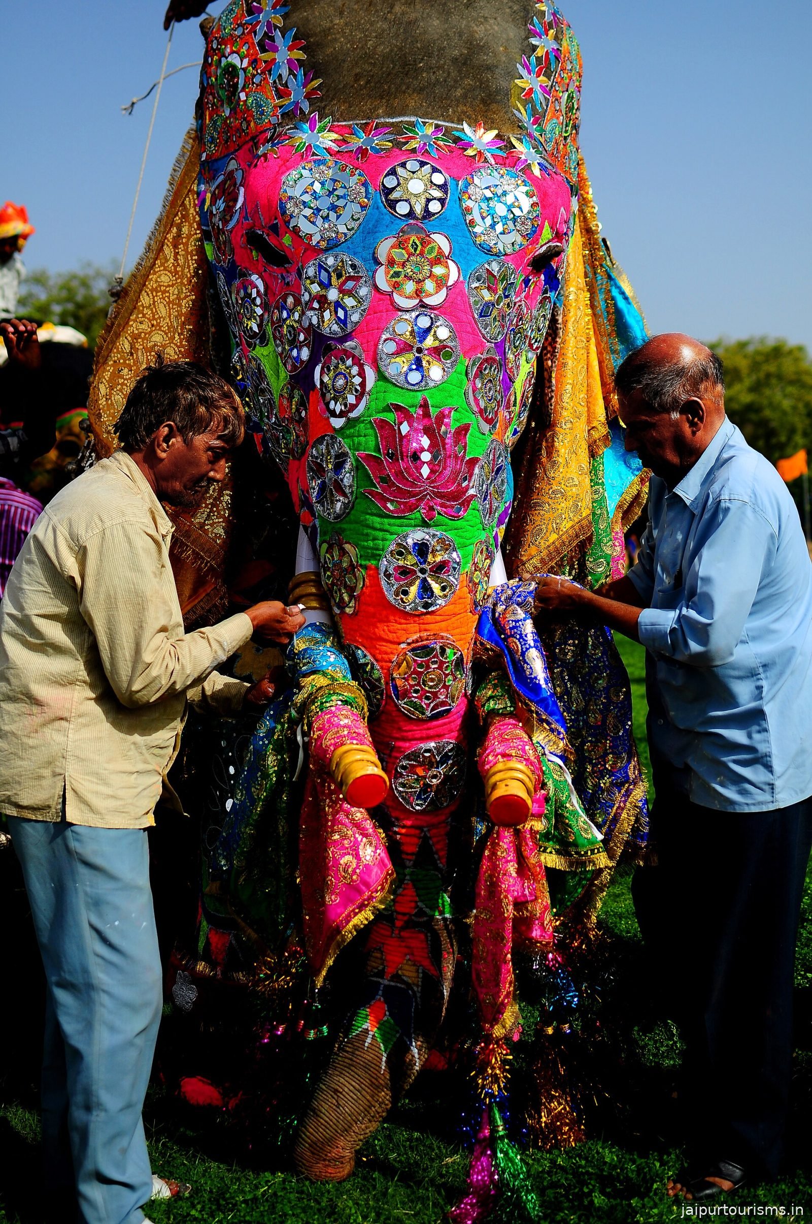 Jaipur Elephant Festival