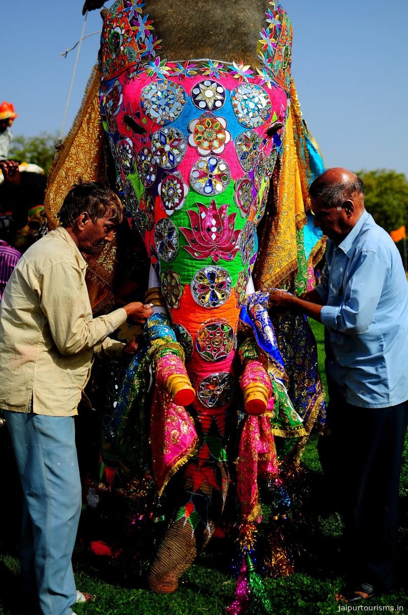 Jaipur Elephant Festival