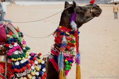 Pushkar Camel Fair