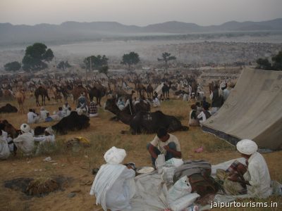 Seel Ki Doongri Fair