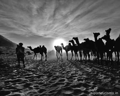 Pushkar Camel Fair