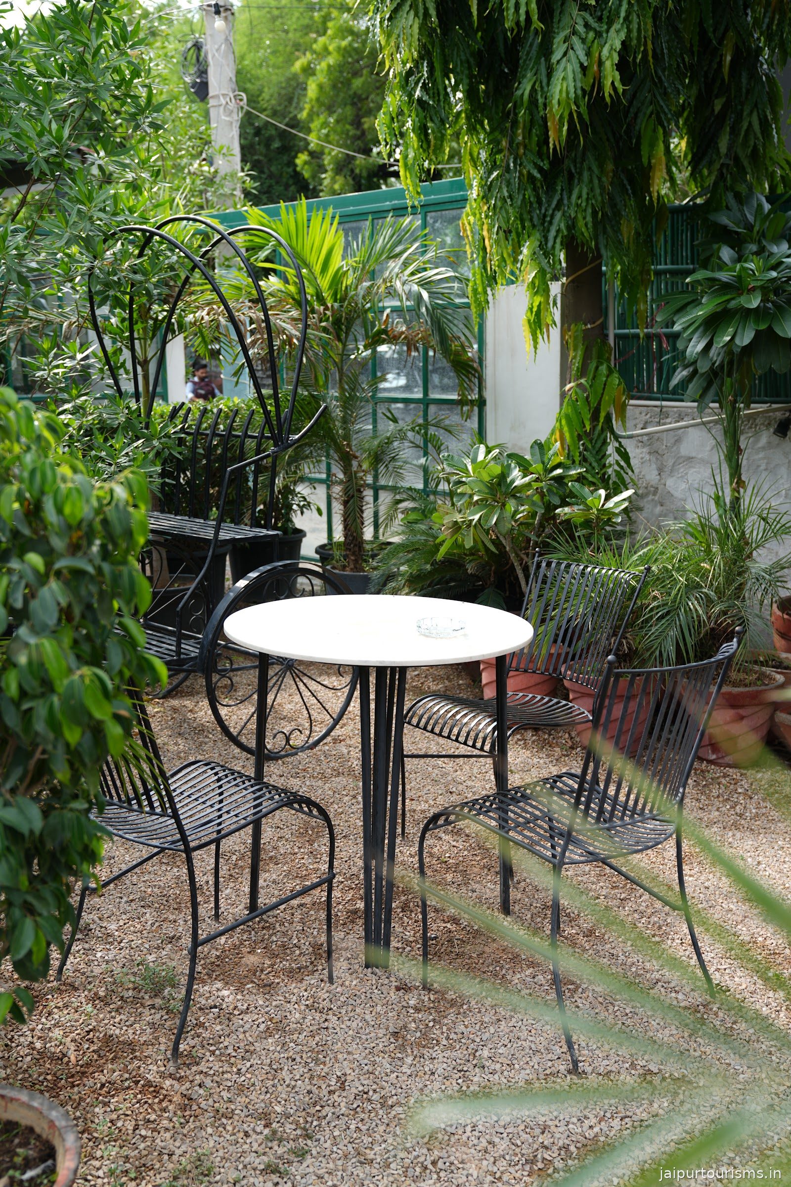Rango Cafe & Kitchen