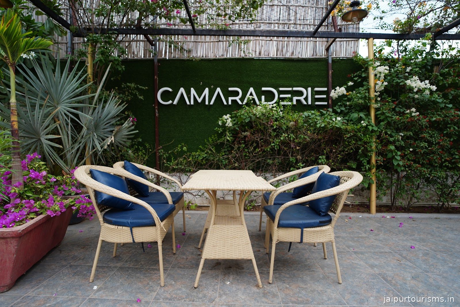 Camaraderie Lounge & Kitchen