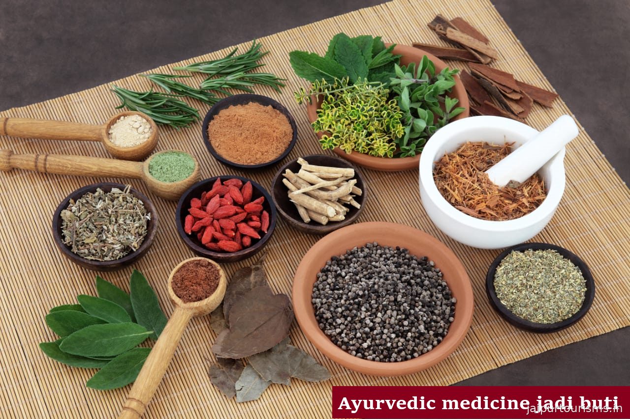 Rajasthan Home Health Care Services Jaipur
