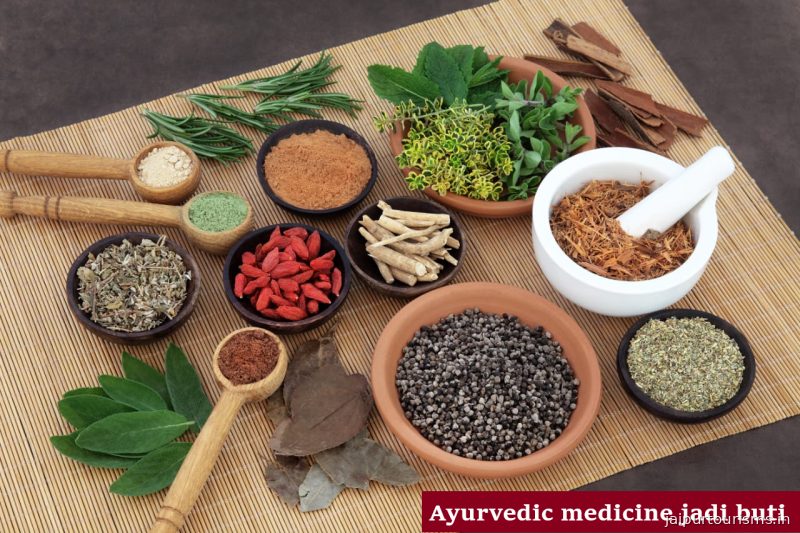 Rajasthan Home Health Care Services Jaipur — Jaipur