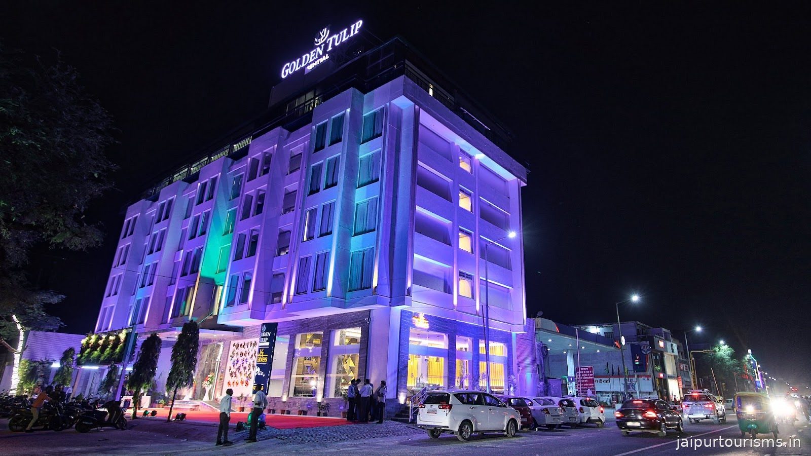 Golden Tulip Essential