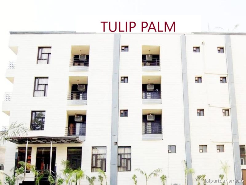 Tulip Palm — Jaipur