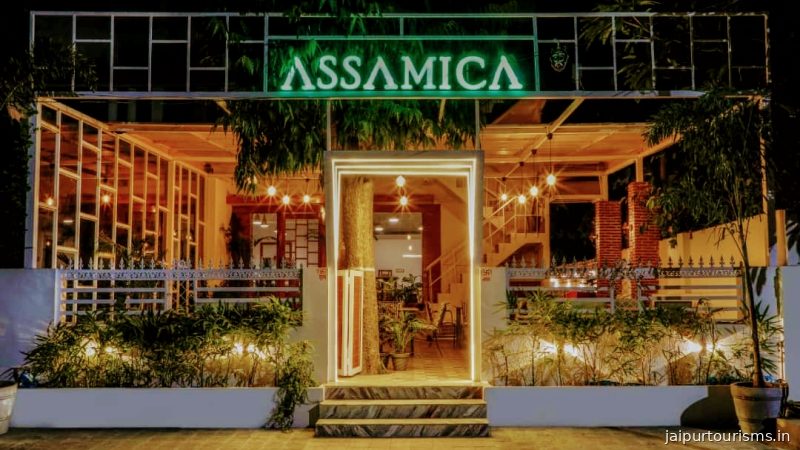 Assamica — Jaipur