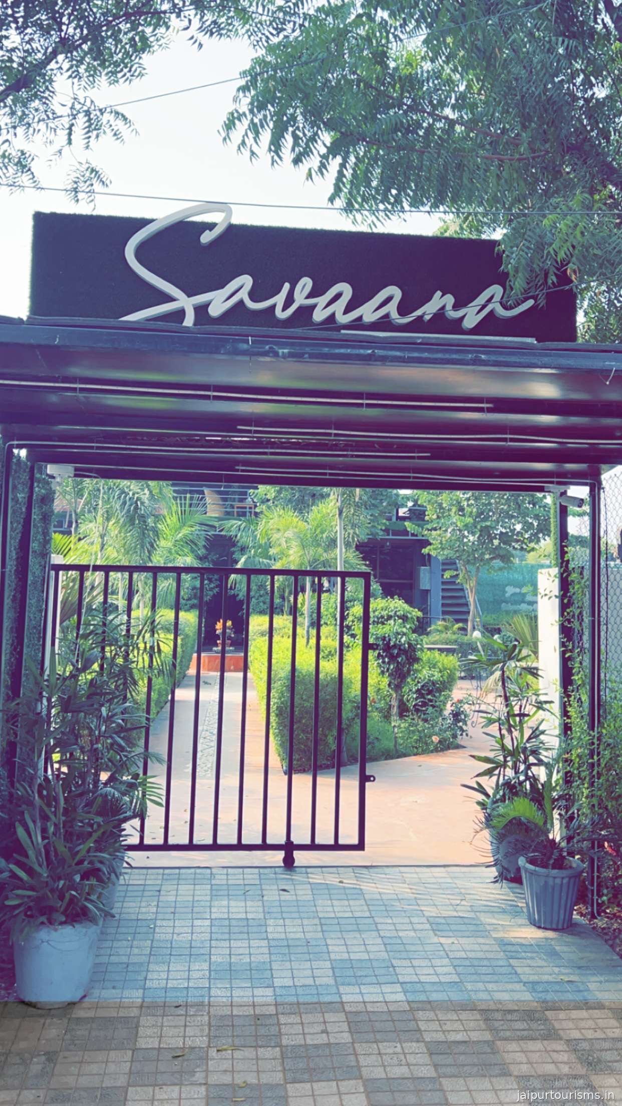 Savaana Cafe & Kitchen