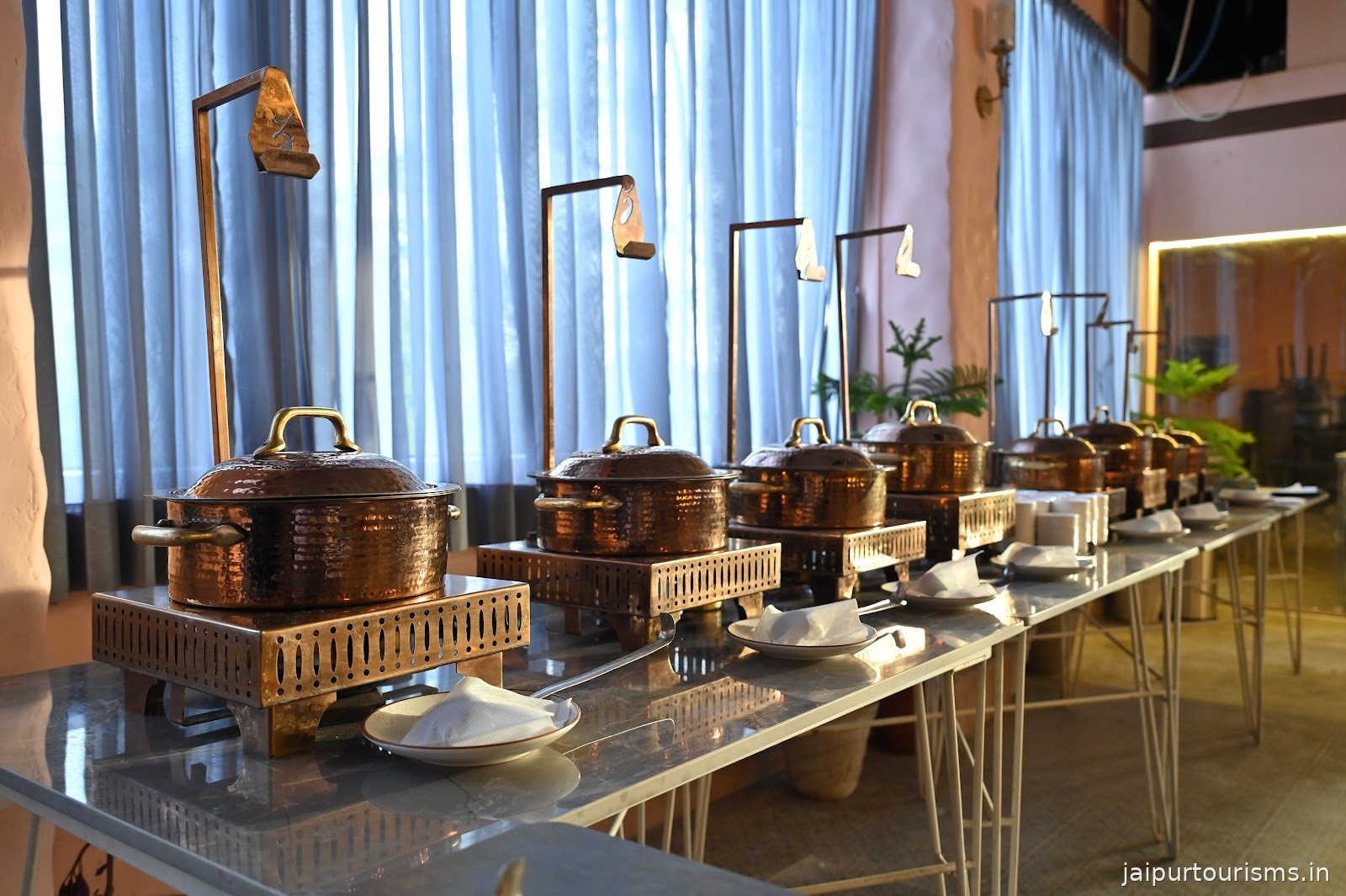 Selvas Kitchen and Lounge