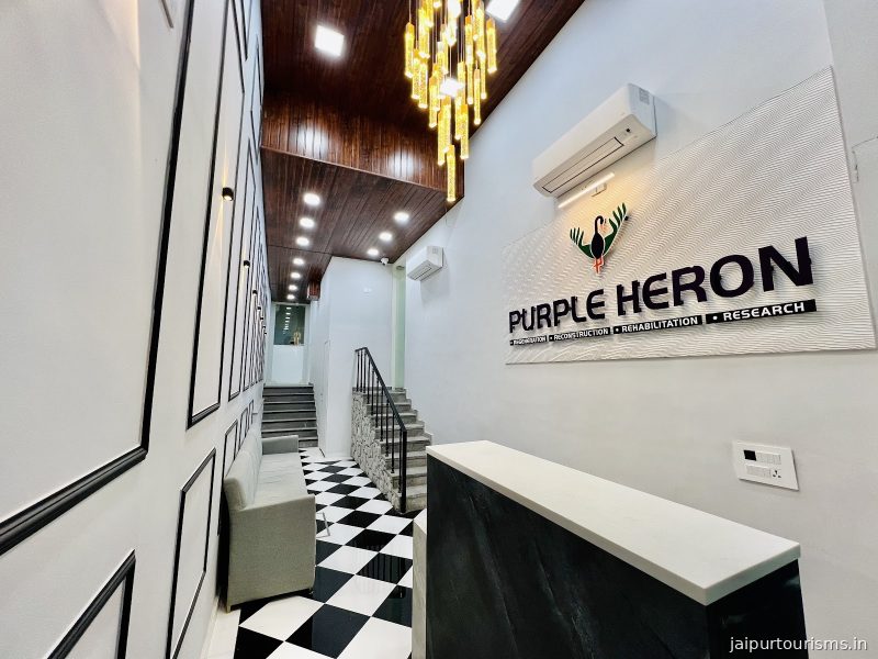 Purple Heron Hospital - Plastic & Cosmetic Surgery Hospital | Pain Treatment | Hair Transplant - Gender Reassignment Jaipur — Jaipur