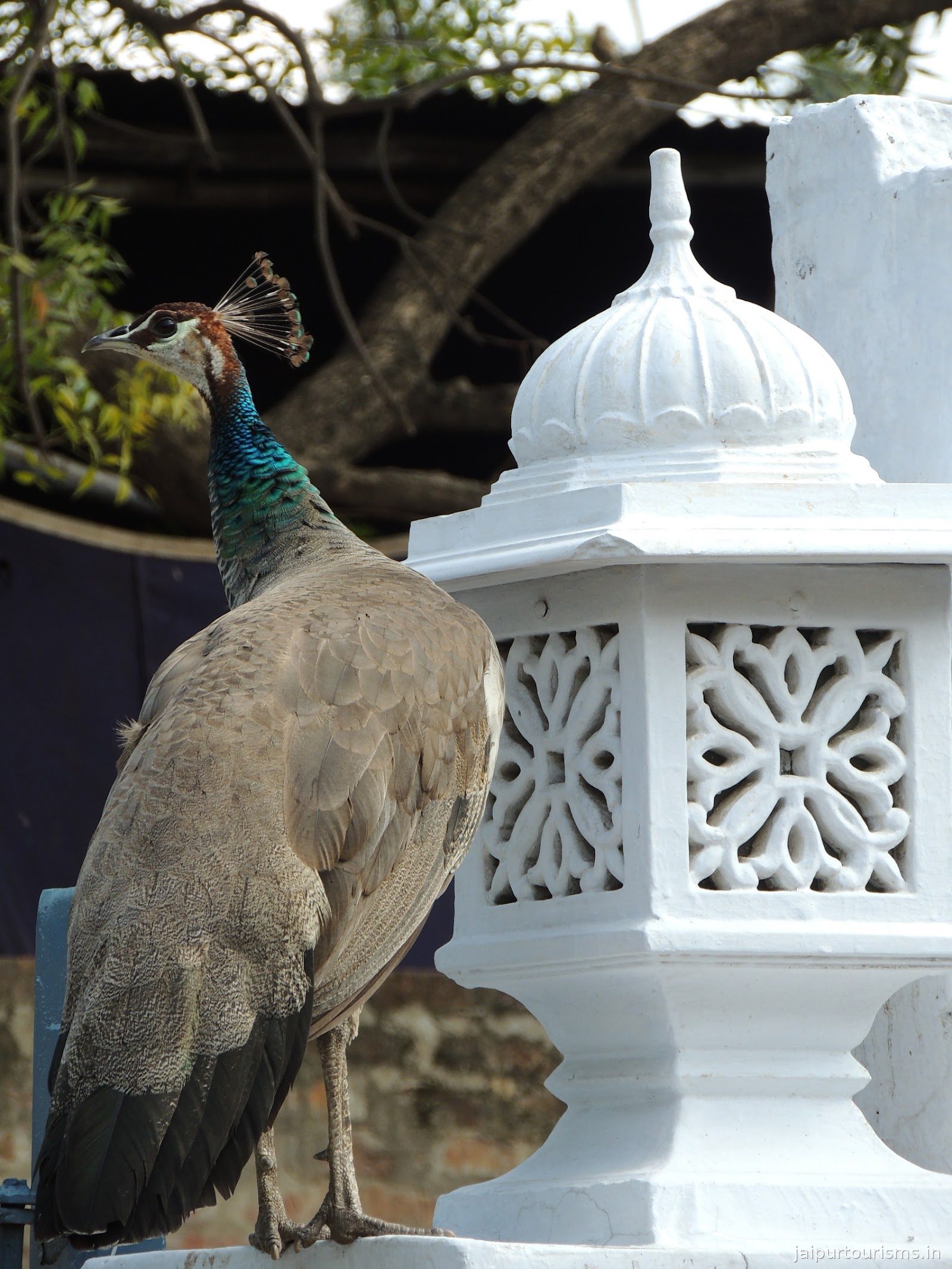 Santha Bagh
