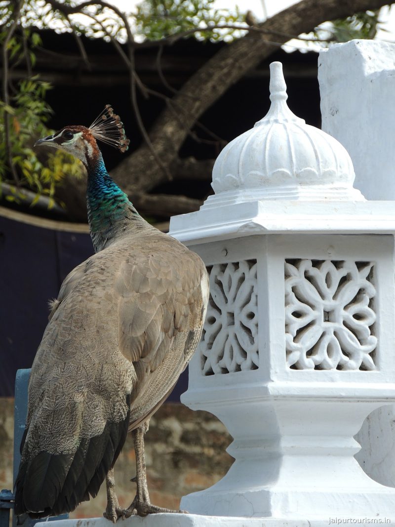 Santha Bagh — Jaipur