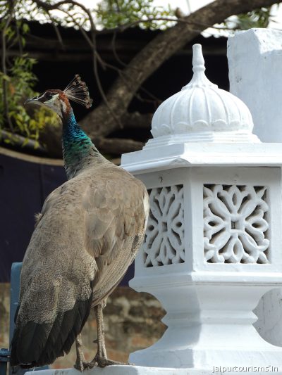 Santha Bagh