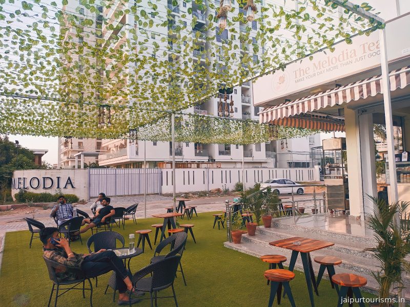 The Melodia Tea — Jaipur